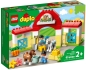Preview: Verpackung: LEGO DUPLO 10951 Pferdestall und Ponypflege