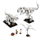 Preview: Inhalt: LEGO Ideas 21320 Dinosaurier-Fossilien