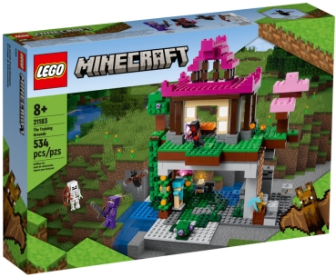 Verpackung: LEGO Minecraft 21183 Das Trainingsgelände