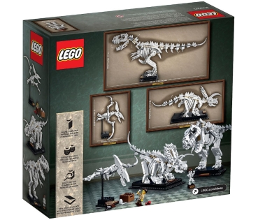 Preview: Box Rückansicht: LEGO Ideas 21320 Dinosaurier-Fossilien