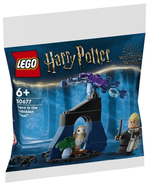 Verpackung: LEGO Harry Potter 30677 Draco im Verbotenen Wald